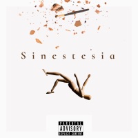 Sinestesia - Koala Ninja & KAM