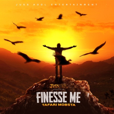 Finesse Me - Single
