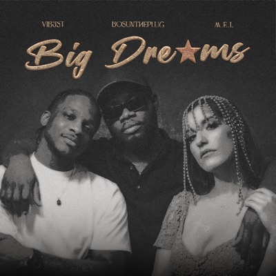 Big Dreams (feat. Vib3st & M.E.L.) - Single