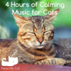 4 Hours of Calming Music for Cats - RelaxMyCat
