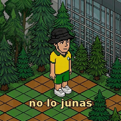 no lo junas - Single