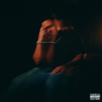 Foi de Prima - Single - Nego Iego & Vibox