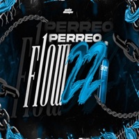 Perreo Flow 22 - Single - Fausttt rmx