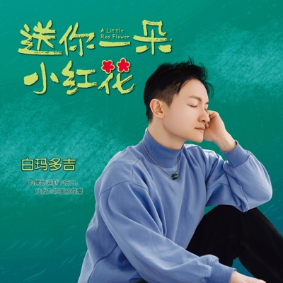 Baimaduoji - 匆匆那年