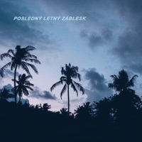 Posledný letný záblesk (feat. PZK) - EP - Deathkid