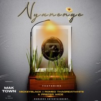 NYANENGE (feat. Mickeyblack, Romeo ThaGreatwhite & Prefer Wice) - Single - Dombo Sa