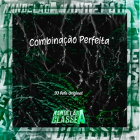 Combinação Perfeita - Single - DJ FEFE ORIGINAL