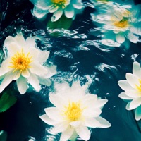 MAGIC - Single - KOVII