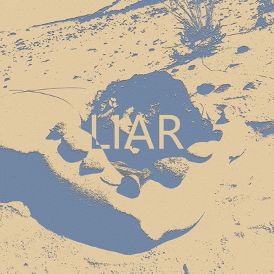 Liar - Single