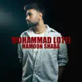 Hamoon Shaba