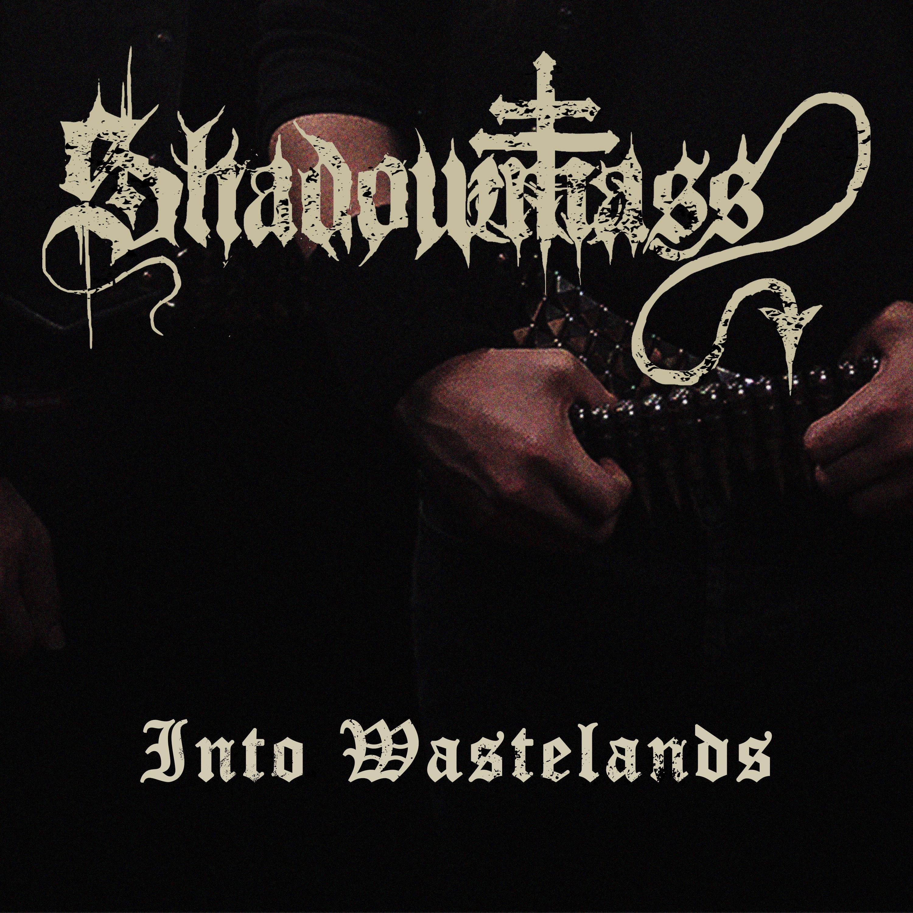 Into Wastelands - Single