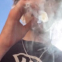 Everyday - Single - dieout