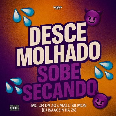 Desce Molhado Sobe Secando - Single