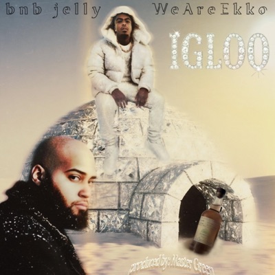 Igloo (feat. WeAreEkko) - Single