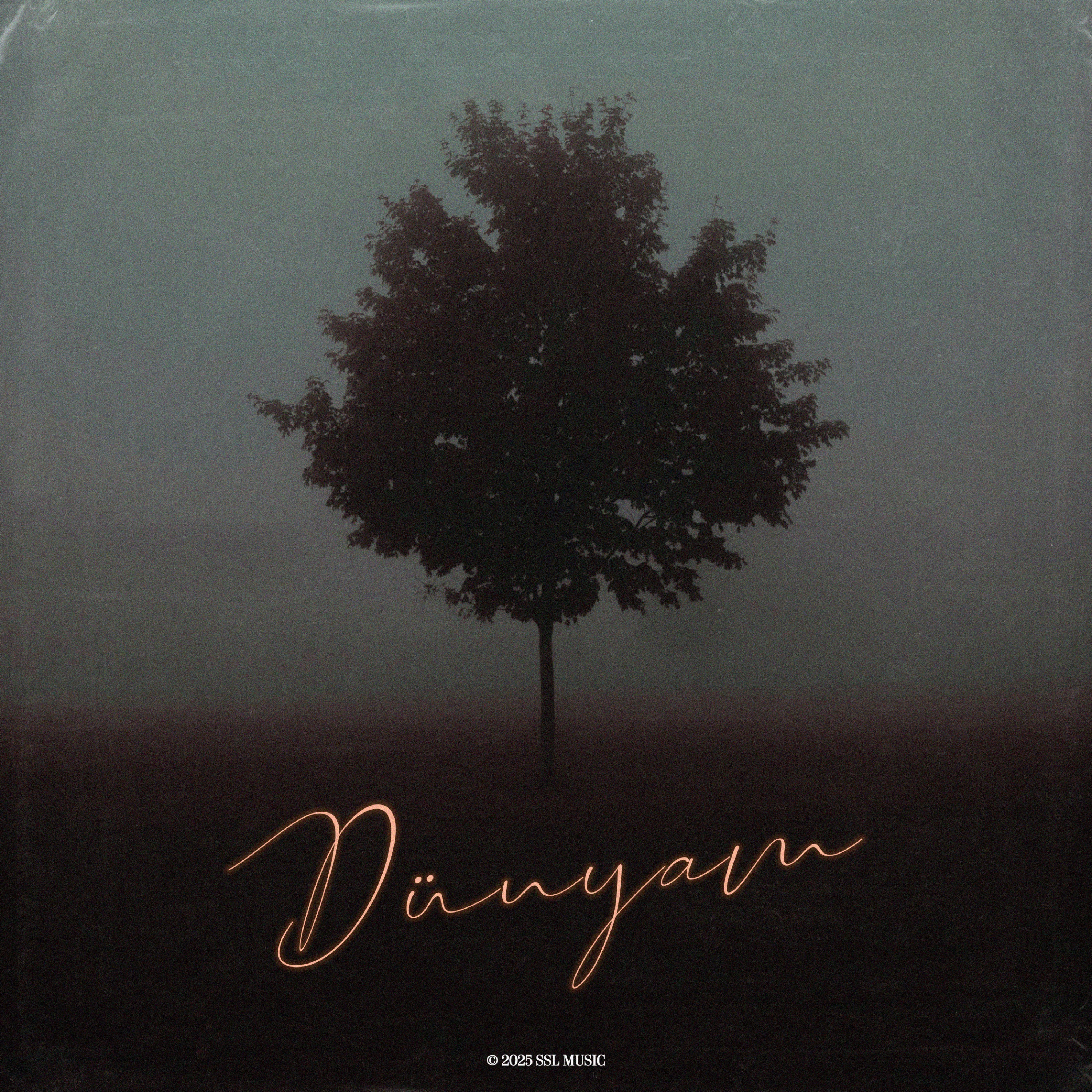 Dünyam - Single
