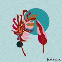 Aura - Single - terrarium.