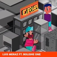 Gris (feat. Bolishe One) - Single - Luis Meraz