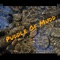 Puddle Of Mudd - Sean Kamp lyrics
