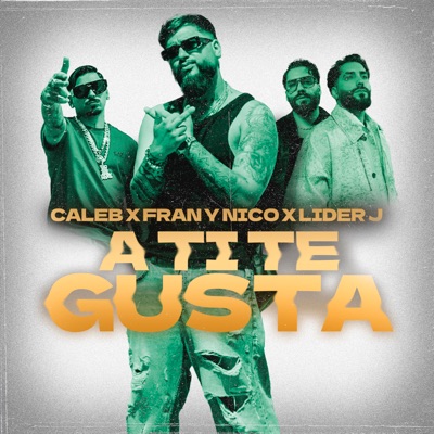 A Ti Te Gusta - Single