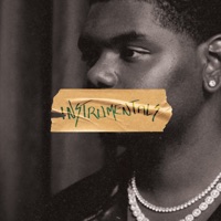 JAZZ MONEY (INSTRUMENTALS) - Zacchae'us Paul