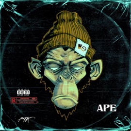 APE PTK
