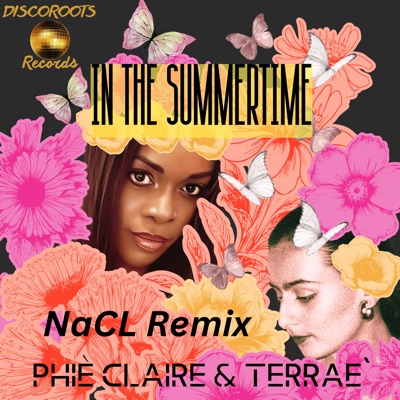 In the Summertime - Single