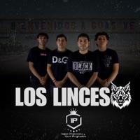 Los linces F.E.D.I - Single - Isaac placencia ysus asignados