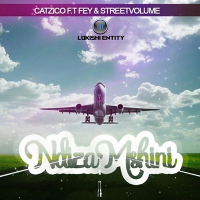 Ndizamshini (feat. Fey & Street Volume) - Single