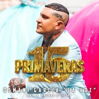 15 Primaveras (Single Version) - Single - Osmani Garcia 