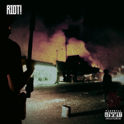 R!OT! (feat. Die Perry) - Single