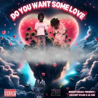 Do You Want Some Love - Single - WhoGotTheAux, Calvary Kylan & Lil Rae