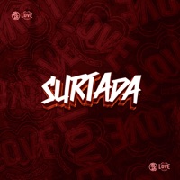 Surtada - Single - MC PR da Sul, MC Xavier & Dj Xavinho
