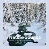 Sounds of Spring in the Mountains - EP - Nature Sounds