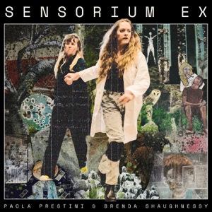 Sensorium Ex