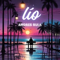 Lío - Single - Andres Bula
