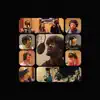 The Giant Steppas - Rock To The Groove