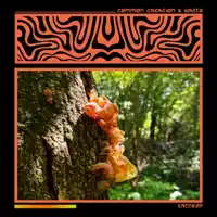 Sayōnara (SHERELLE's More Blacks, More Irish Remix)