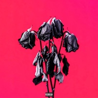 Around Again - Single - Chino