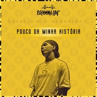 Pouco da Minha História - Single - Neggringo & los beats