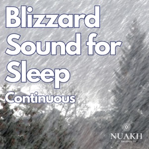 Blizzard Snowstorm Sound for Sleep