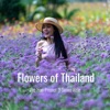 Flowers of Thailand (feat. Sonna Rele) - Single