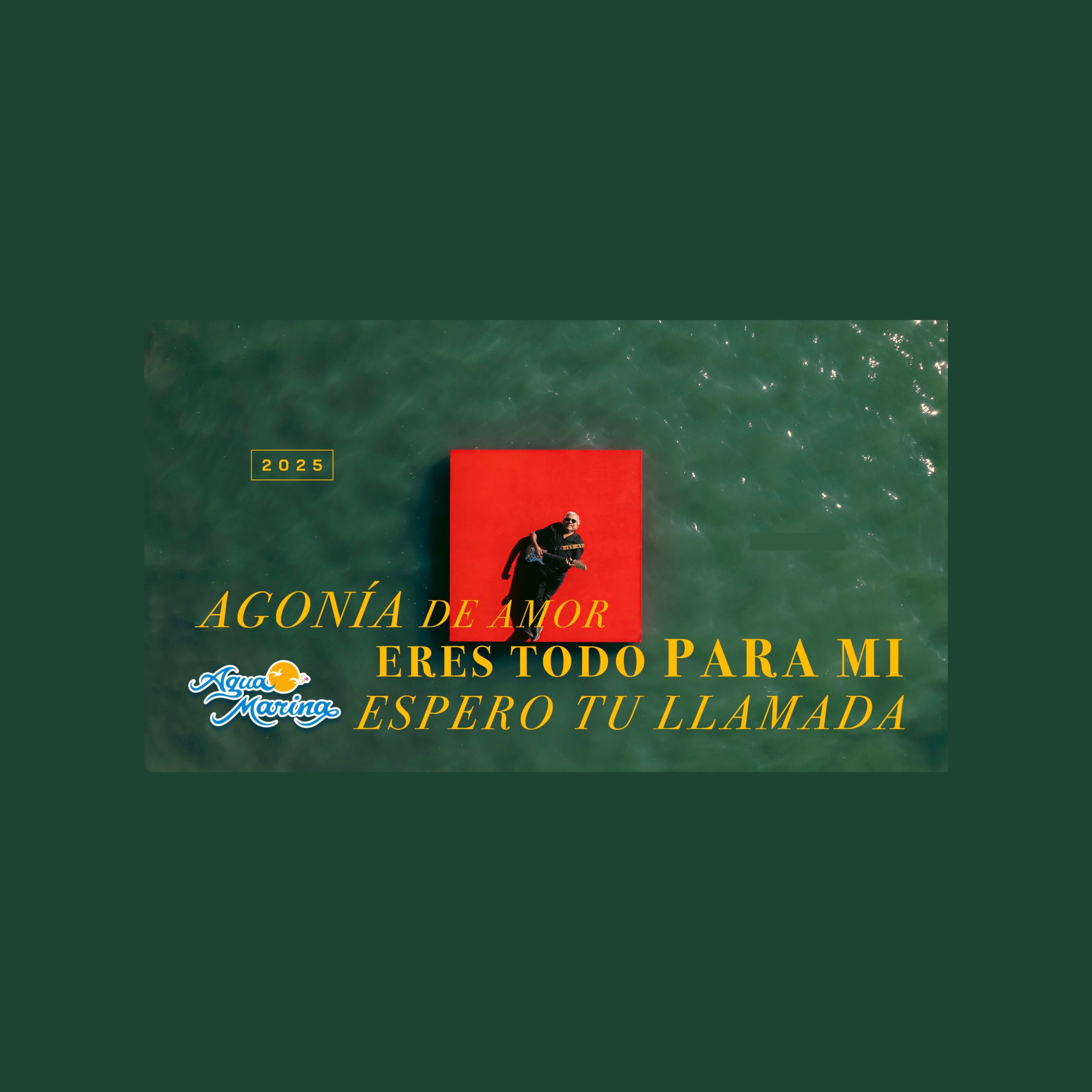 Agonía De Amor / Eres Todo Para Mí / Espero Tu Llamada - Single