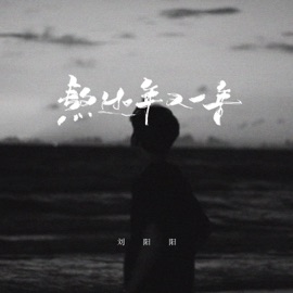 熬过一年又一年 (万般滋味我一个人尝) 刘阳阳