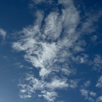 Lost Friends - Single - RickRau