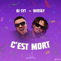 C’est mort (feat. Dertay) - Single - DJ SYT