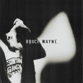Bruce Wayne KUDOKUSHI