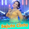 Sejuta Cinta - Single