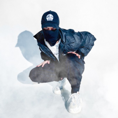 Aggressive Flow - Single