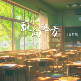 飘向远方 (Dj版) 智韵熙