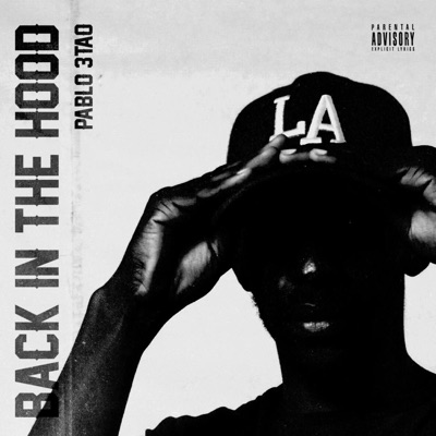 BACK IN THE HOOD - Single